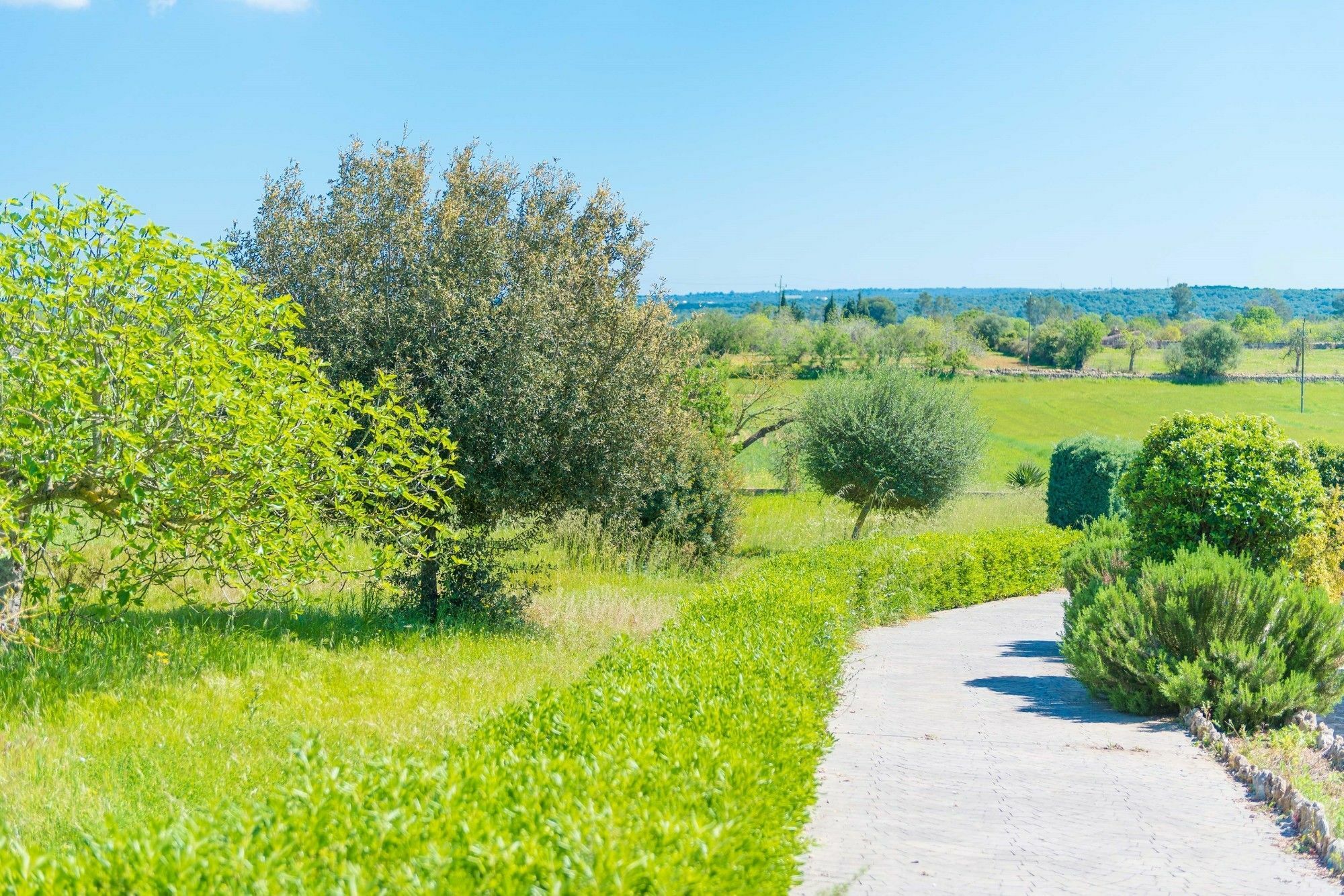 Casa Holganza Βίλα María de la Salud Εξωτερικό φωτογραφία