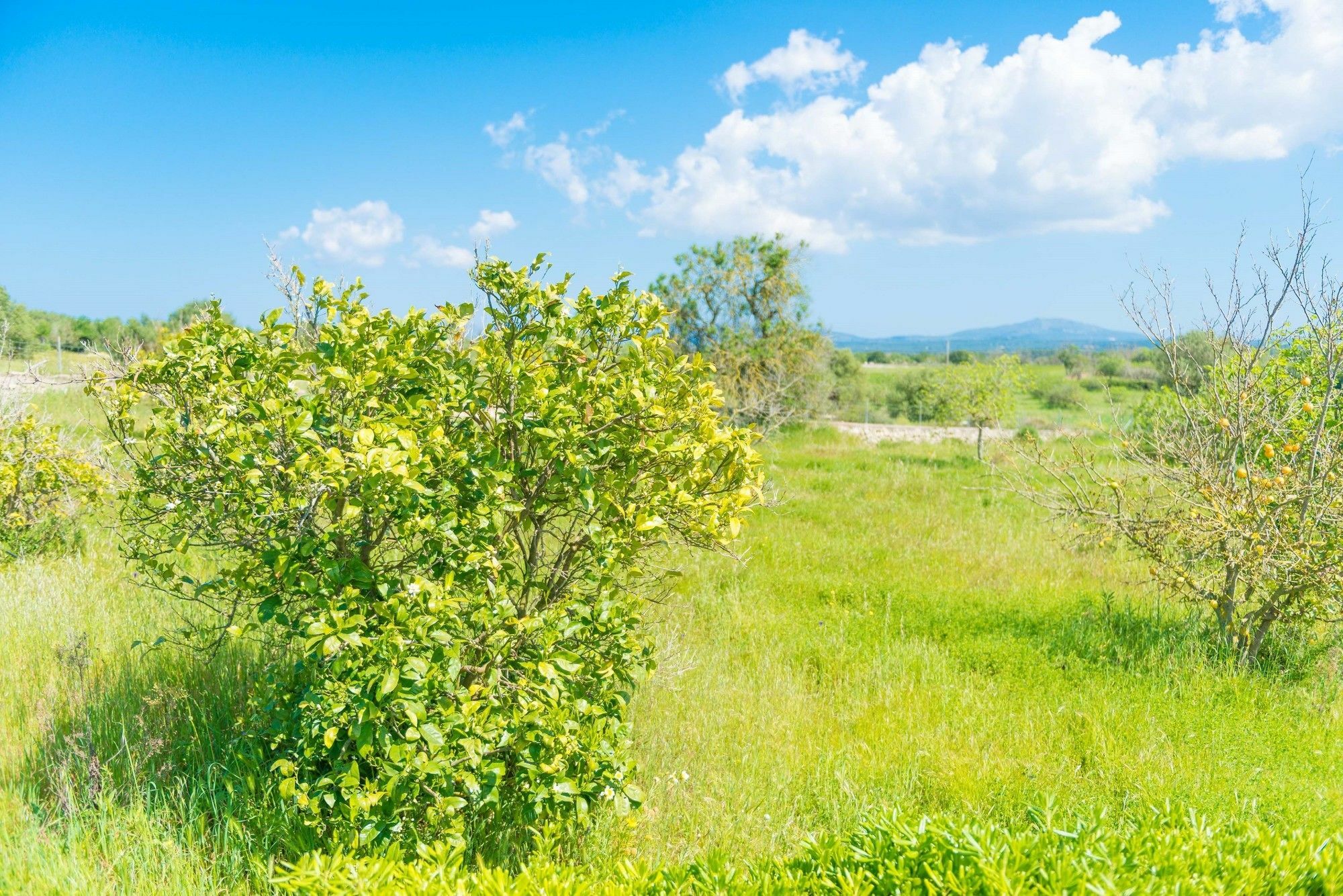 Casa Holganza Βίλα María de la Salud Εξωτερικό φωτογραφία